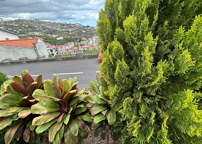 Vila Pico Da Torre Apartment