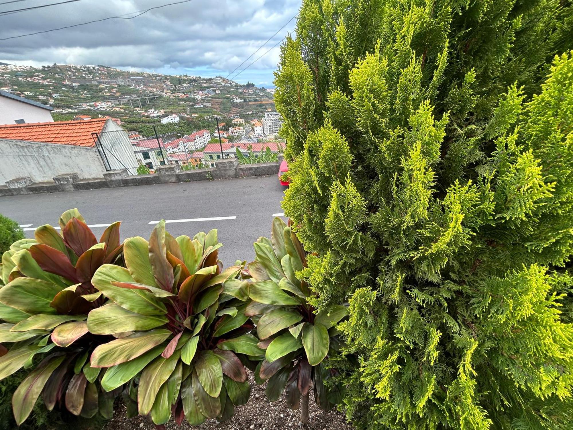 Pico Da Torre * Camara de Lobos